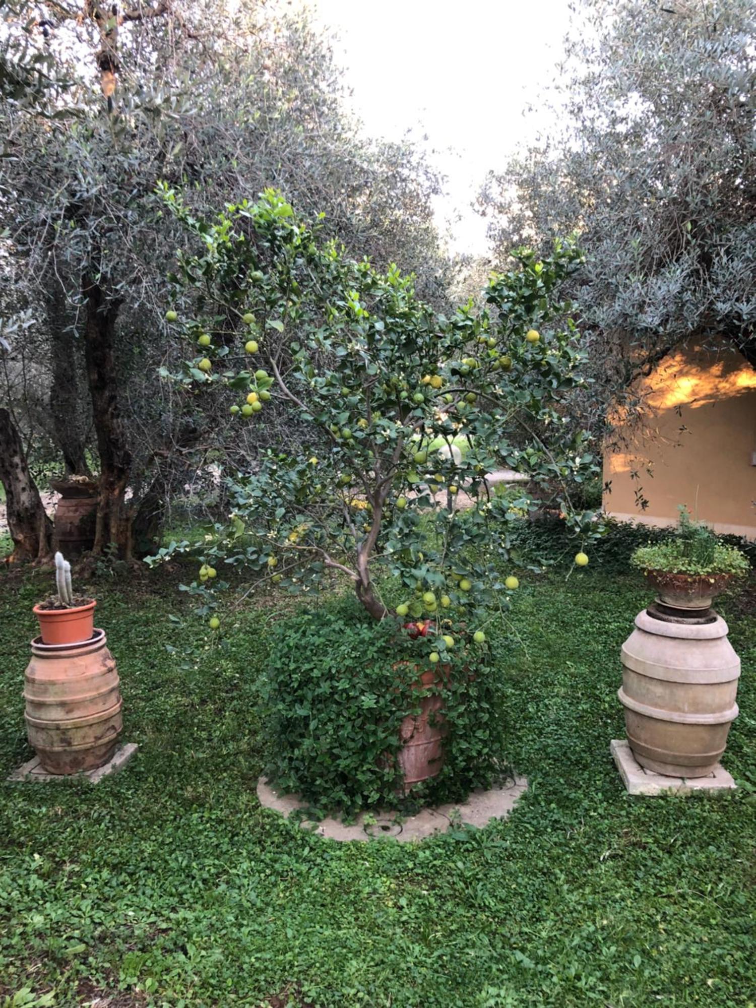Agriturismo La Canonica Manciano Buitenkant foto